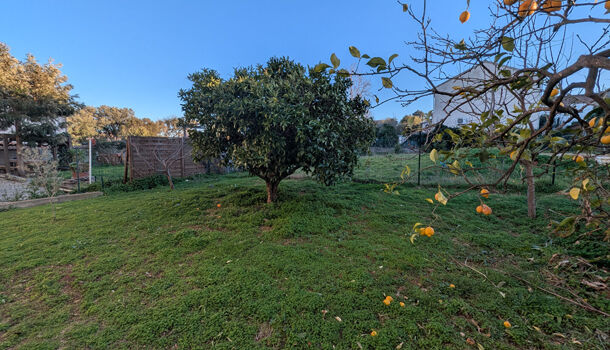 Immeuble 8 pièces  à vendre Borgo 20290