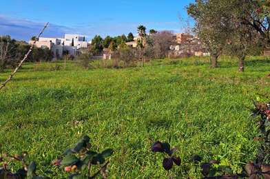 Terrain  310000 €