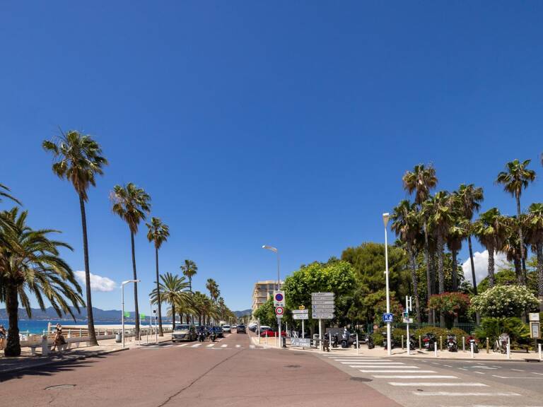 Lot de 3 studio refaits à neuf Cannes Hyper centre — photo 1
