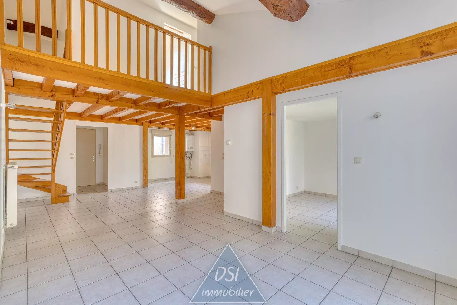 Agence immobilière de DSI