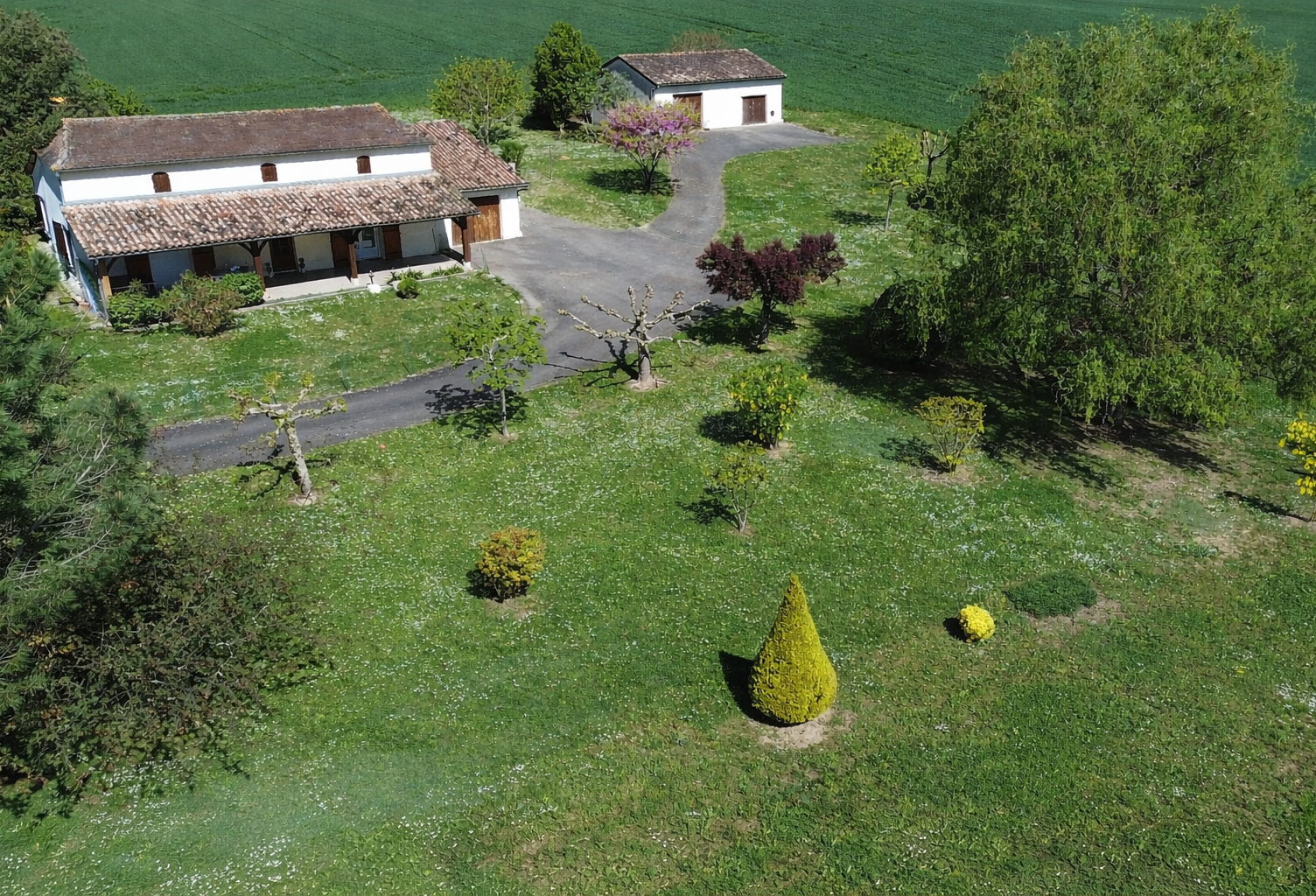 Dans un environnement verdoyant — photo 1