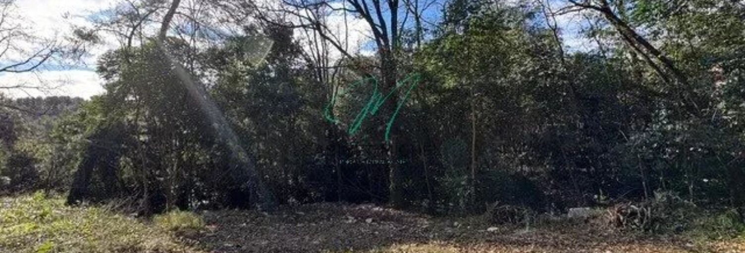 Terrain  1515 m² à vendre à Roquefort-les-Pins (06330)