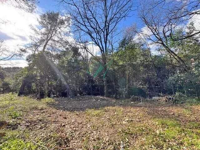 ROQUEFORT-LES-PINS : Terrain constructible — photo du bien