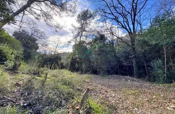 ROQUEFORT-LES-PINS : Terrain constructible — photo 2