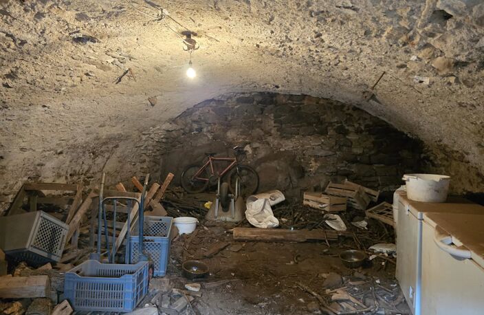 MAISON EN PIERRES AVEC DEPENDANCES ET TERRAIN — photo 4