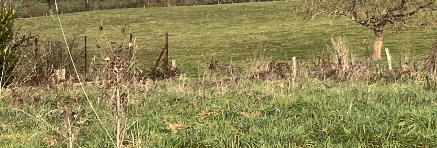 Terrain  1200 m² à vendre à Bourbon-Lancy (71140)