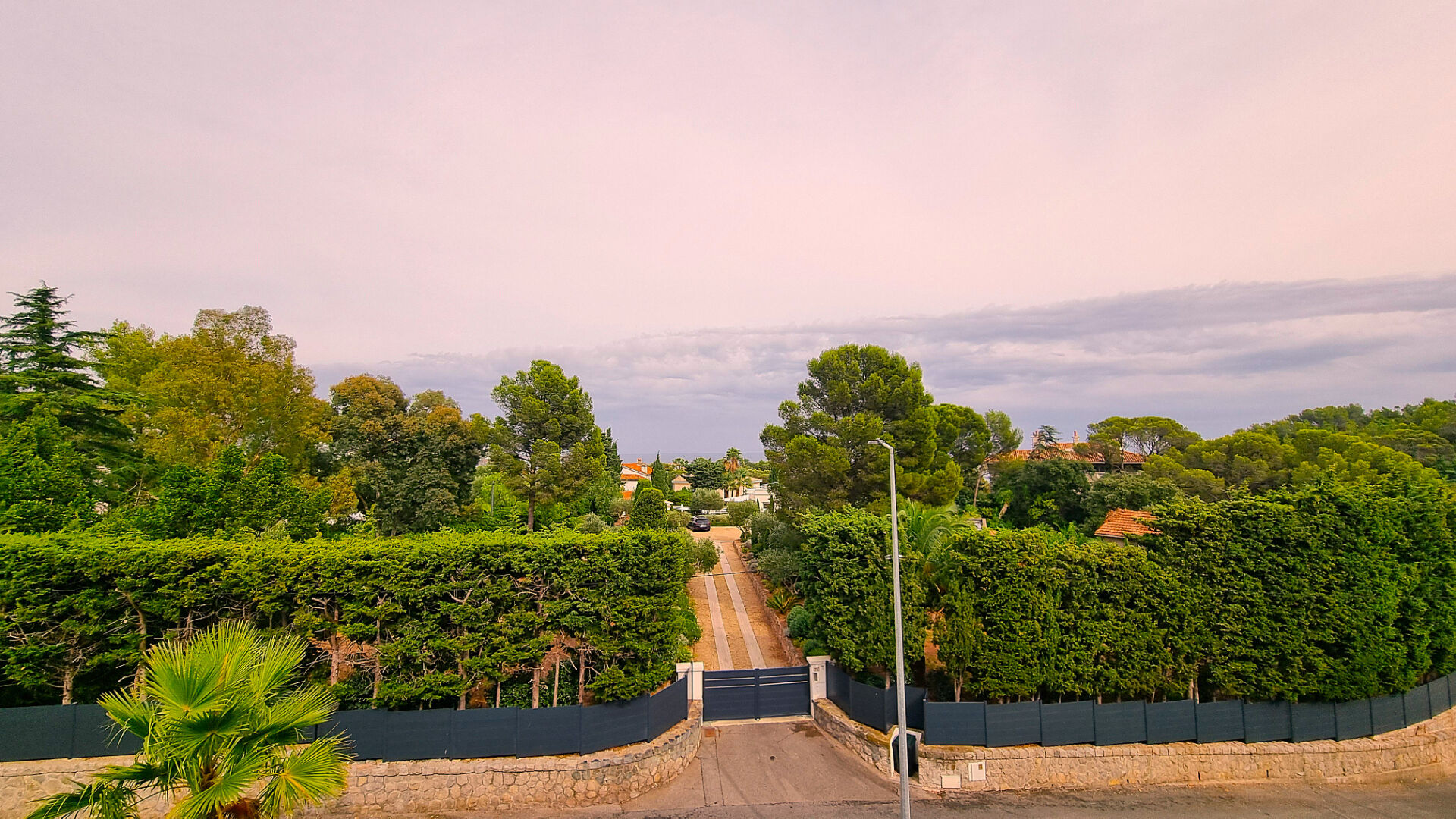 Photo n°1