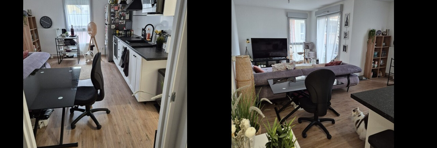 Appartement 3 Pièces 65 m² à louer à Dijon (21000)