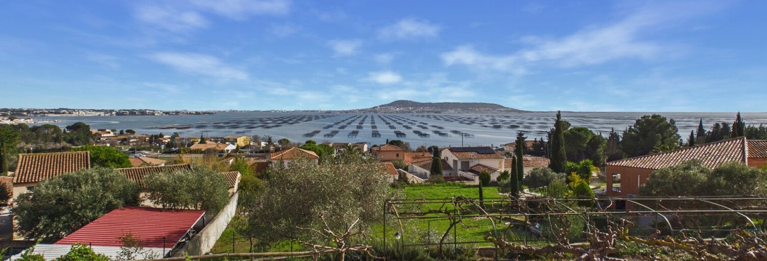 Maison 8 Pièces 265 m² à vendre à Bouzigues (34140)