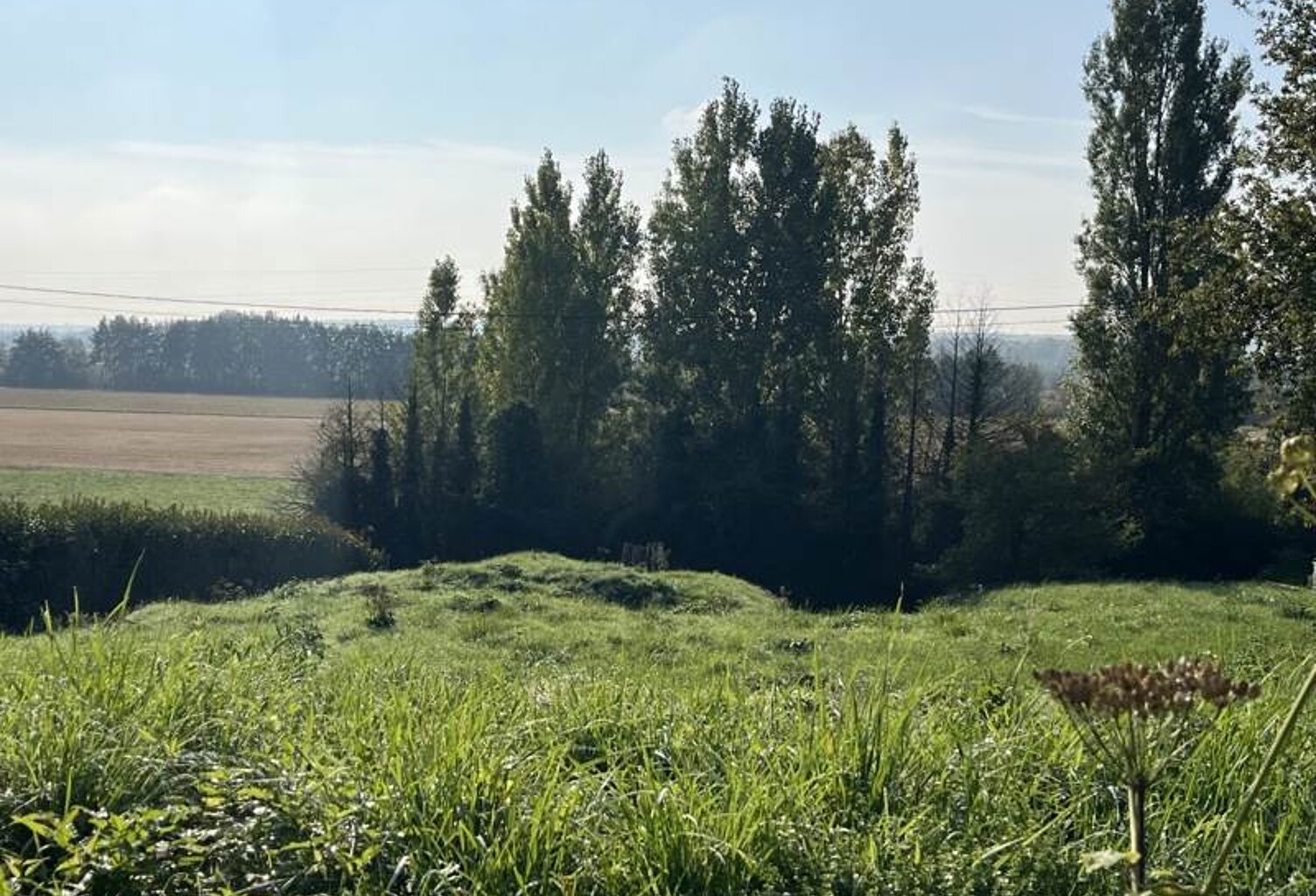 Vente terrain  1232 m² Valloire-sur-Cisse (41150) — photo 1