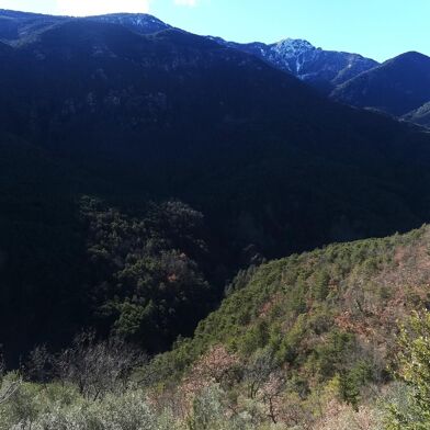 Maison 4 pièces 193000 €