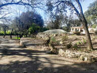 À VENDRE - SECTEUR QUISSAC - SPACIEUSE VILLA TERRAIN 3600m2 — photo 2