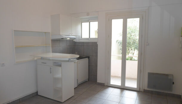 Appartement 1 pièces  à louer Montpellier 34000