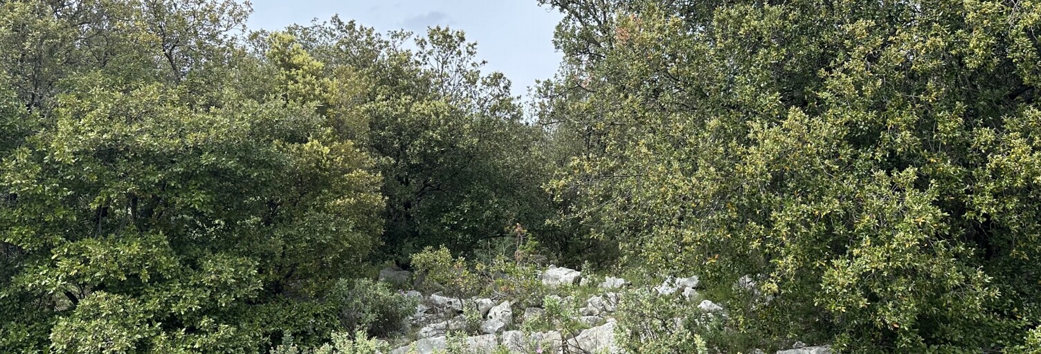 Terrain  2710 m² à vendre à Mons (83440)