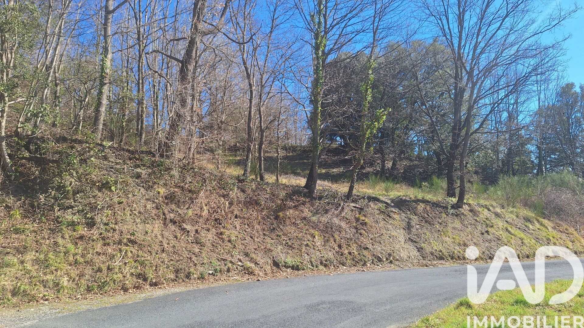 Montferrer - 22000m²