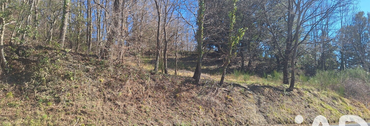 Terrain  22000 m² à vendre à Montferrer (66150)