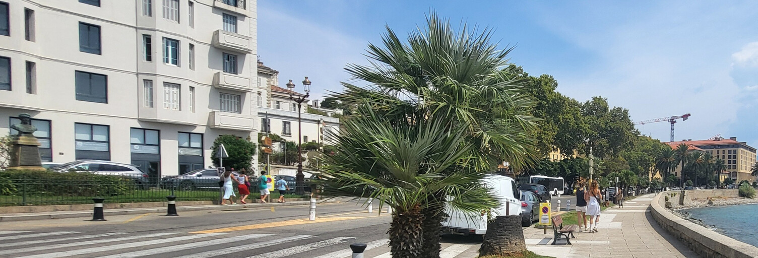 Appartement 5 Pièces 200 m² à vendre à Ajaccio (20000)