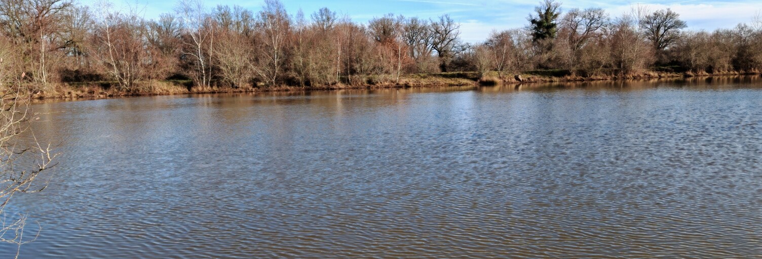 Terrain  96964 m² à vendre à Saint-Désiré (03370)