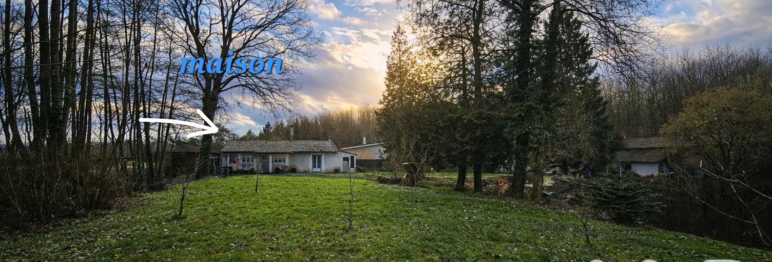 Maison 2 Pièces 45 m² à vendre à Brienon-sur-Armançon (89210)