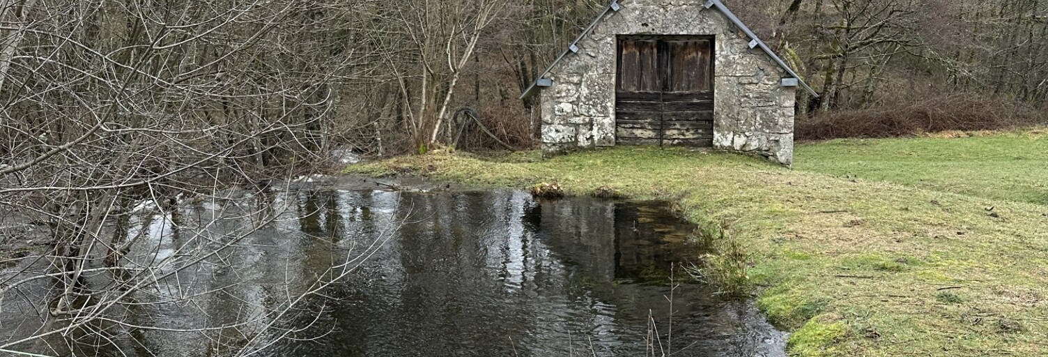 Maison 1 Pièce 30 m² à vendre à Grandsaigne (19300)
