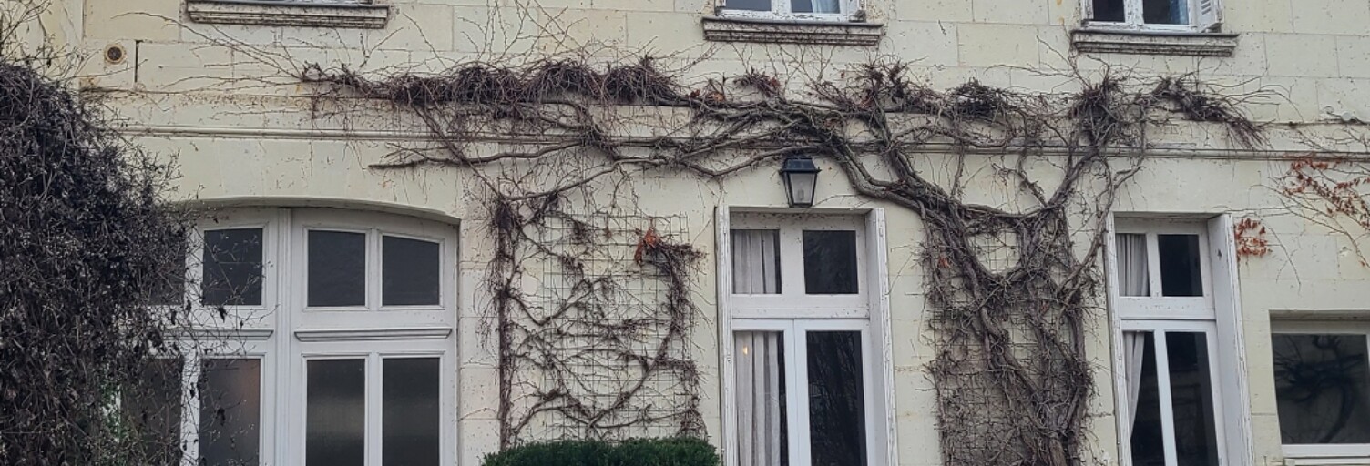 Maison 9 Pièces 259 m² à vendre à Saumur (49400)