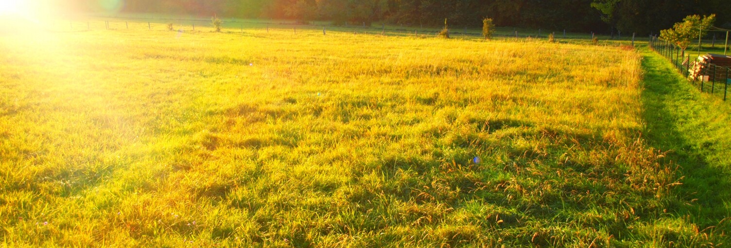 Terrain  3000 m² à vendre à Fouchécourt (88320)