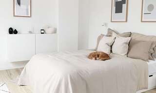 Appartement 3 Pièces 80 m² à vendre à Strasbourg (67100)