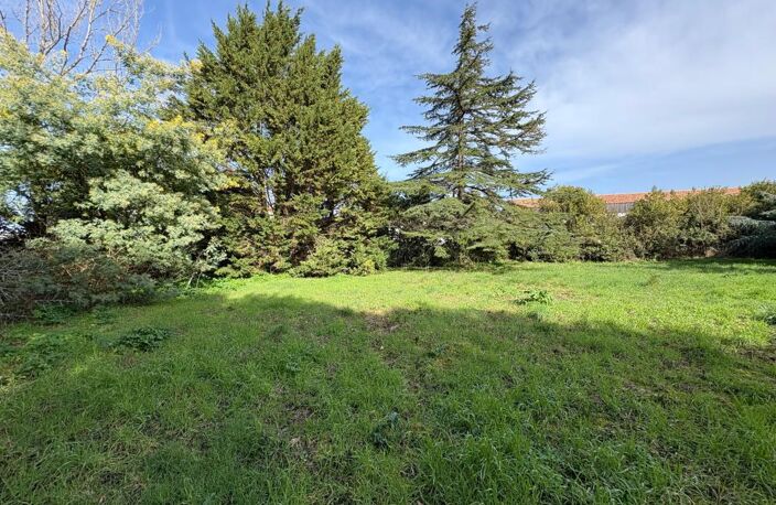 Maison à vendre - SAINT GEORGES D'OLERON — photo 4