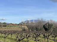 Ici, la Provence se révèle dans toute son authenticité : pierres — photo 3