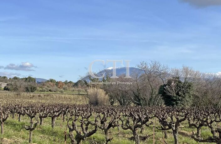 Ici, la Provence se révèle dans toute son authenticité : pierres — photo 3