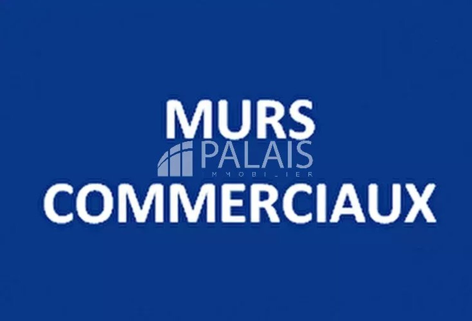 Local commercial — photo 1