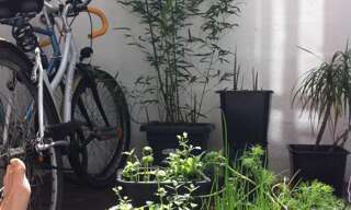 Appartement 2 Pièces 25 m² à louer à Bordeaux (33000)