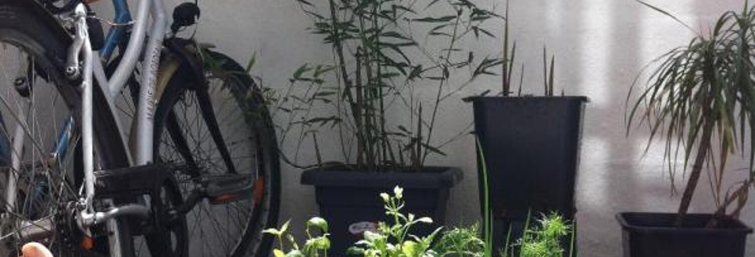 Appartement 2 Pièces 25 m² à louer à Bordeaux (33000)