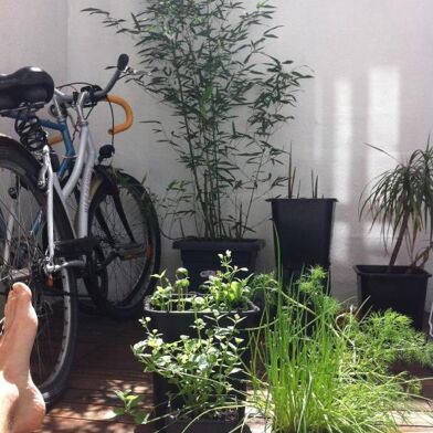 Appartement 2 pièces 745 €