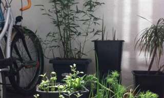 Appartement 2 Pièces 25 m² à louer à Bordeaux (33000)