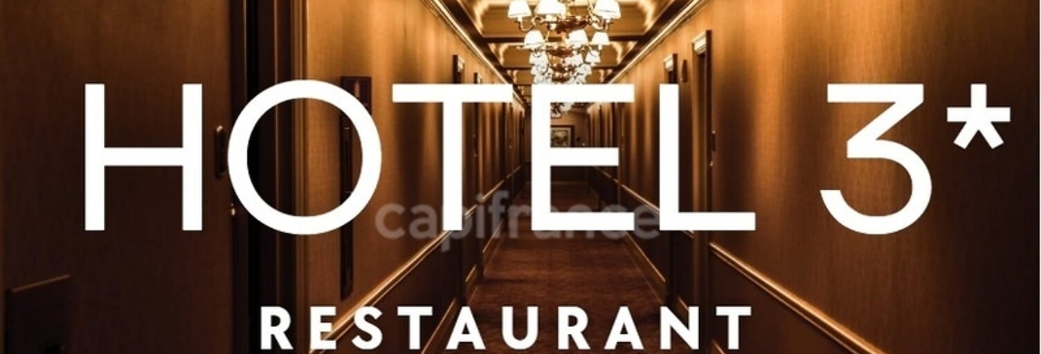 Commerce  880 m² à vendre à Lamotte-Beuvron (41600)