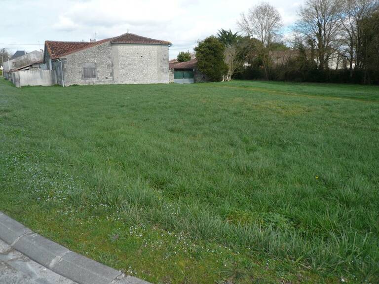 ⚜ TERRAIN à CONSTRUIRE A Vendre  ARS (16) ⚜ — photo 1
