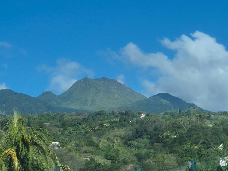 RARE à BASSE-TERRE,Terrain plat 2200 m² avec + de la moitié construtible — photo 1
