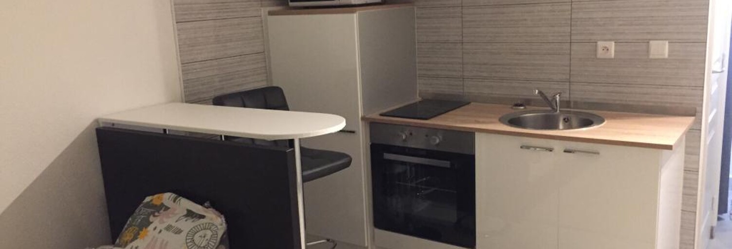 Appartement 1 Pièce 19 m² à louer à Villeurbanne (69100)