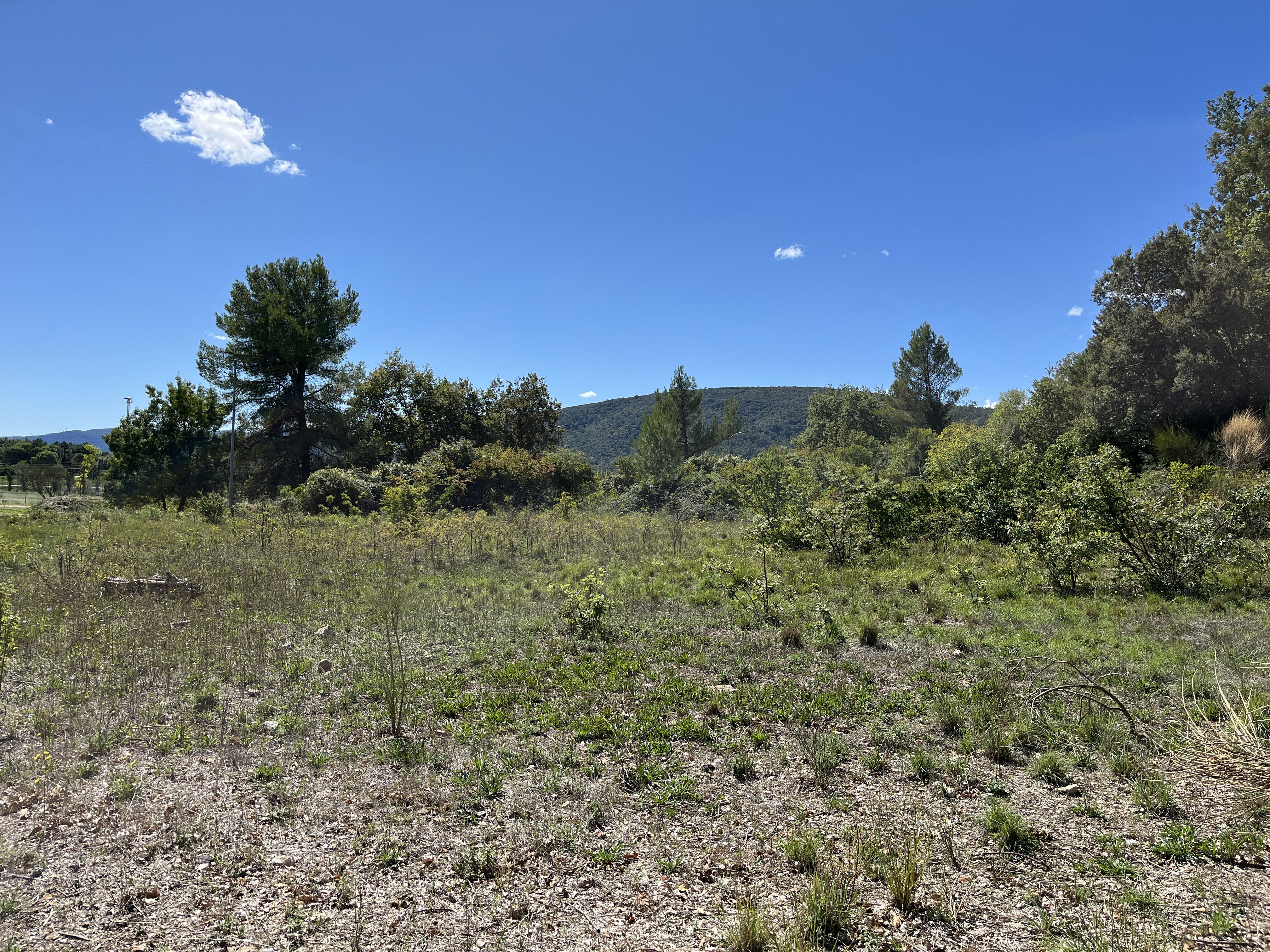 Terrain  à vendre Roquebrussanne (La) 83136