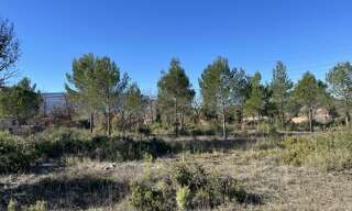 Terrain 1000 m² à construire Saint-Maximin-la-Sainte-Baume (83470)