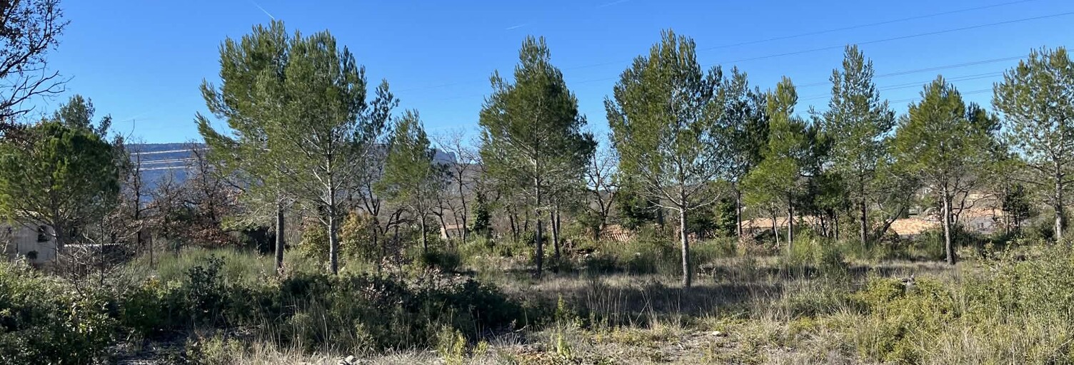 Terrain 1000 m² à construire Saint-Maximin-la-Sainte-Baume (83470)
