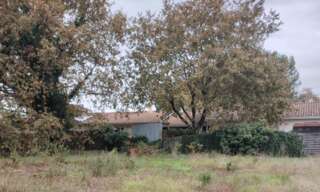 Terrain 522 m² à construire Belin-Béliet (33830)