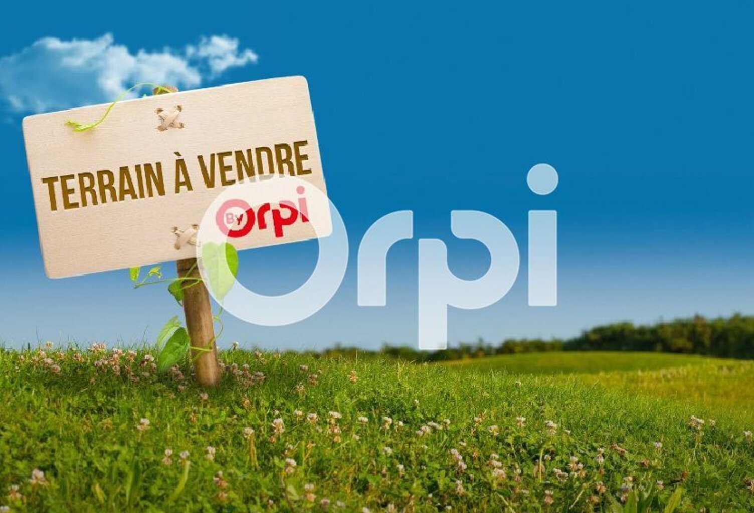 🔥 Opportunité à saisir à Saugnac-et-Cambran ! — photo 1