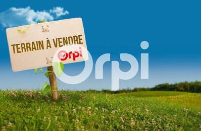   Opportunité à saisir à Saugnac-et-Cambran ! — photo du bien