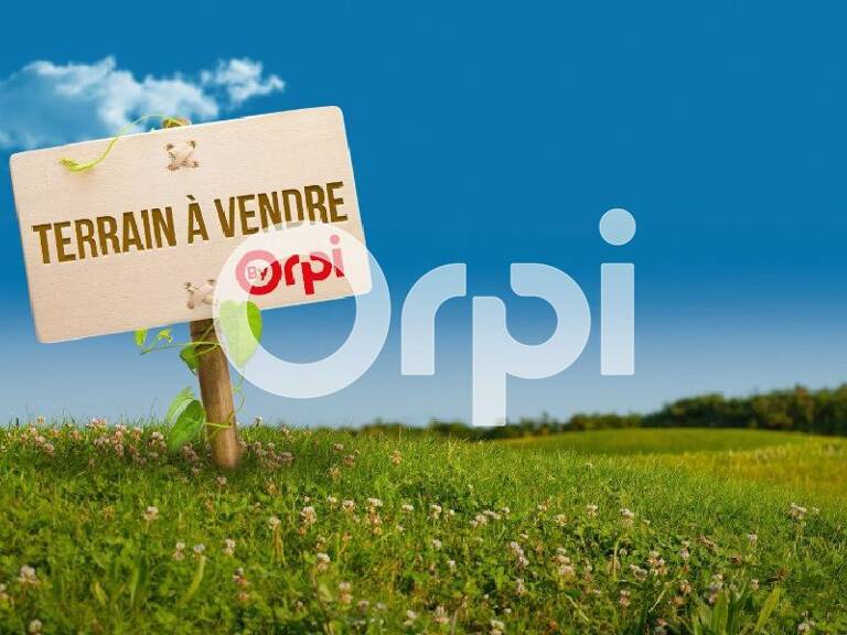   Opportunité à saisir à Saugnac-et-Cambran ! — photo 1