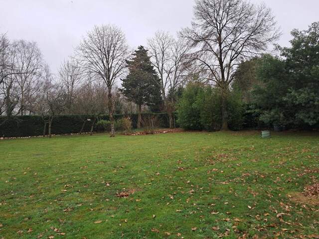 Terrain arboré et constructible — photo du bien