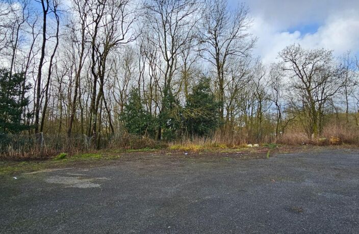 EXCLUSIVITE Terrain de loisir 5000 m² — photo 4