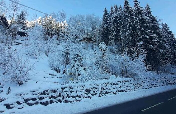 Vente terrain  426 m² Morzine (74110) — photo 2