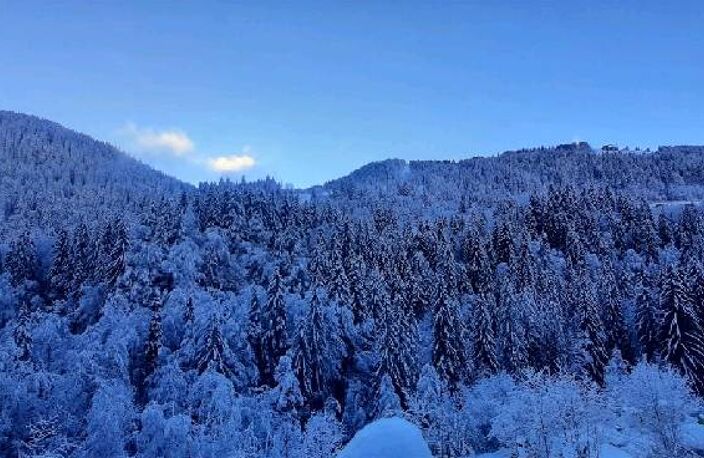 Vente terrain  426 m² Morzine (74110) — photo 3